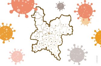 Грозит ли жителям Кировской области хантавирус