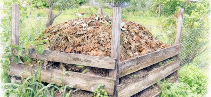 Куда складывать растительные отходы, чтобы не получить штраф